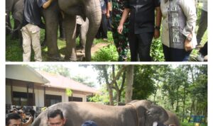 CvW8ziLyrK7Yb2ZUJUMZ6eGlQ8jqPMA50k2QVsWa (1)